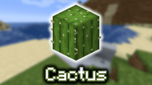 Cactus – Wiki Guide Thumbnail