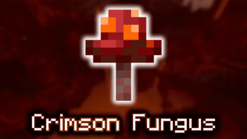 Crimson Fungus – Wiki Guide Thumbnail