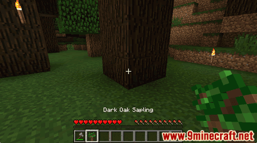 Dark Oak Sapling - Wiki Guide 15