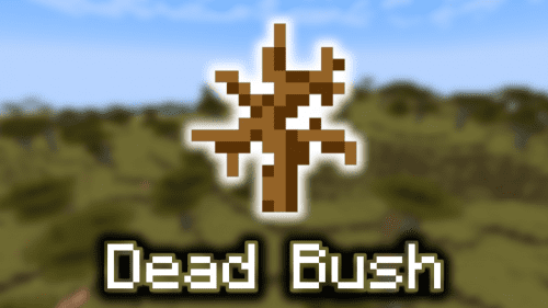 Dead Bush – Wiki Guide Thumbnail
