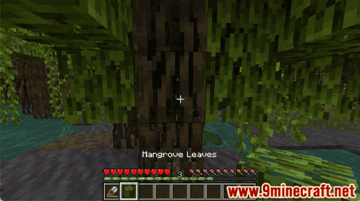 Mangrove Leaves - Wiki Guide 9
