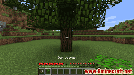 Oak Leaves - Wiki Guide 13