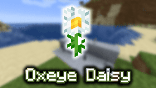 Oxeye Daisy – Wiki Guide Thumbnail