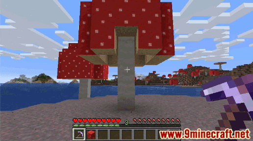 Red Mushroom Block - Wiki Guide 29