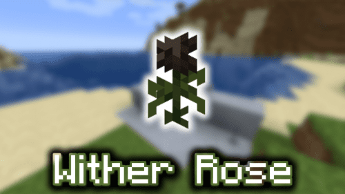 Wither Rose – Wiki Guide Thumbnail