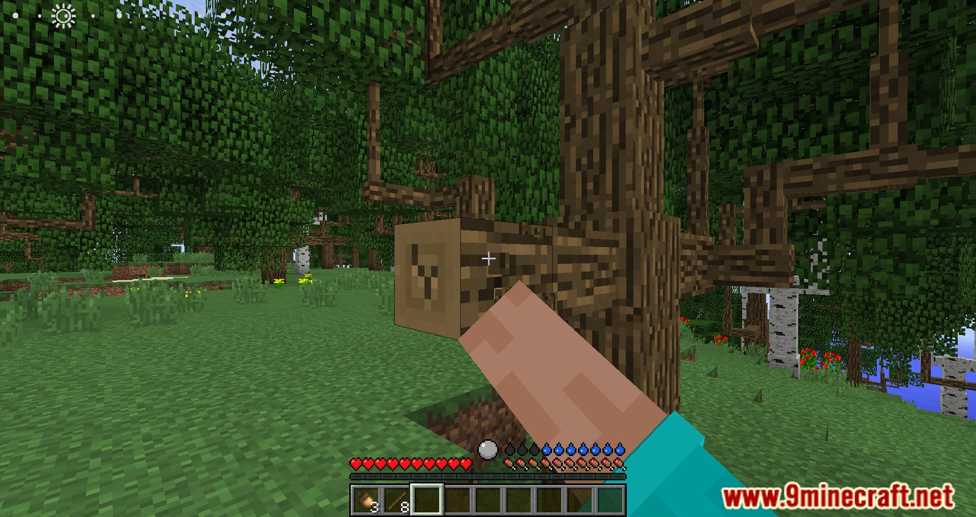 Alone Modpack (1.12.2) - Stranded On A Deserted Island 8