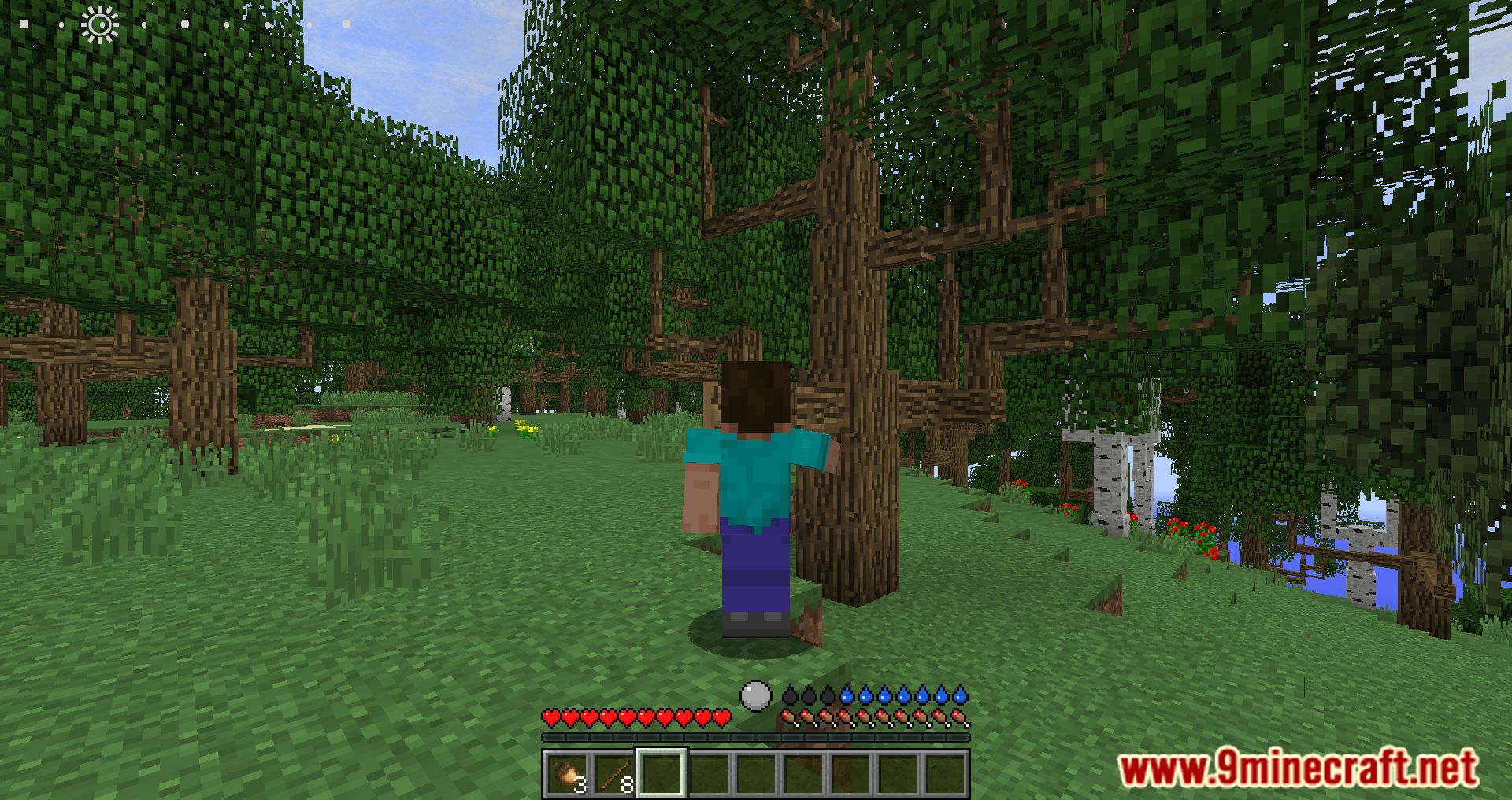 Alone Modpack (1.12.2) - Stranded On A Deserted Island 9