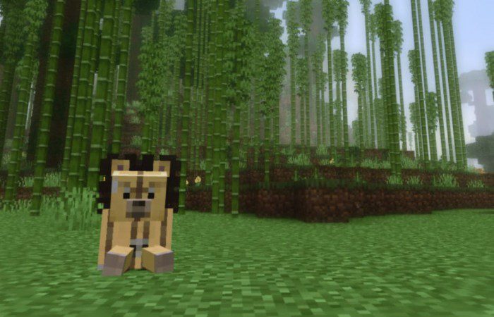 Anime Pets Addon (1.20, 1.19) - MCPE/Bedrock Mod 17