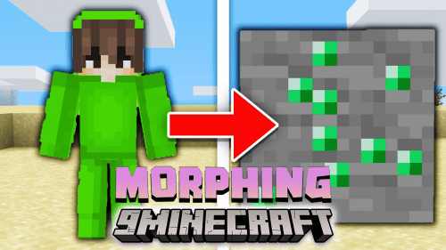 Block Morphing Data Pack (1.19.4) – Transform Into Block! Thumbnail