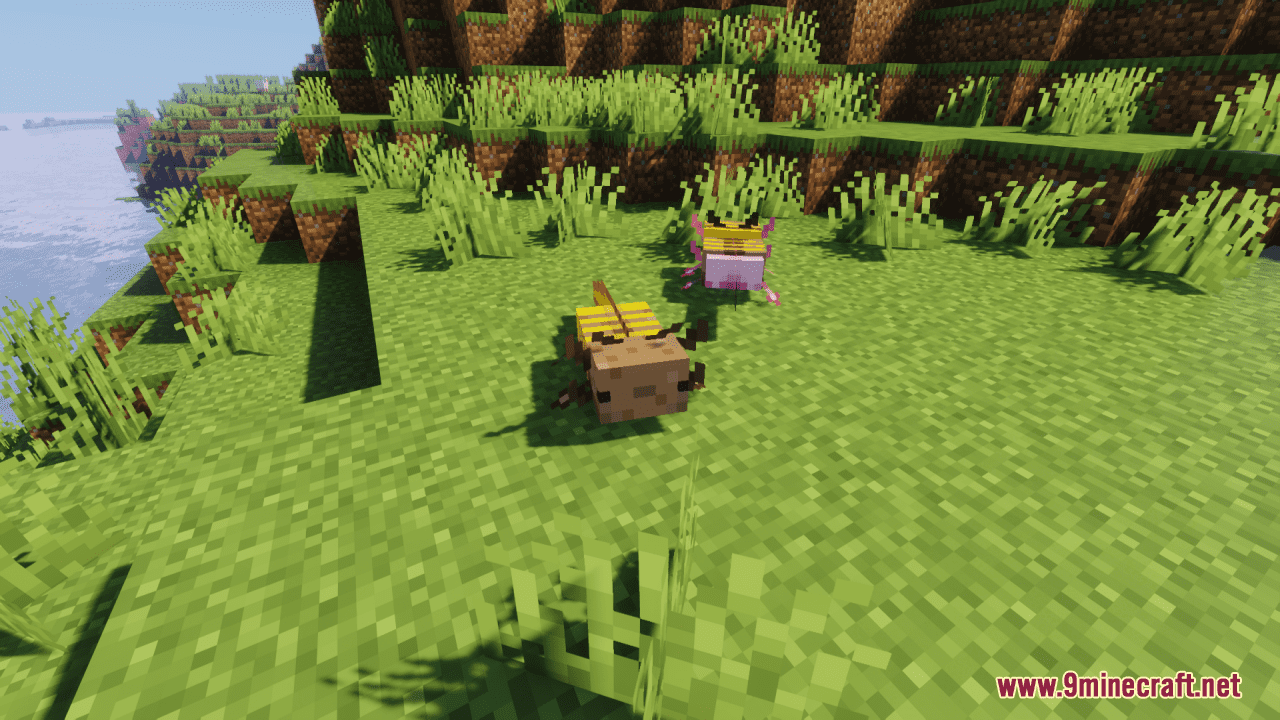 Buzzy Bee Axolotls Resource Pack (1.20.6, 1.20.1) - Texture Pack 7