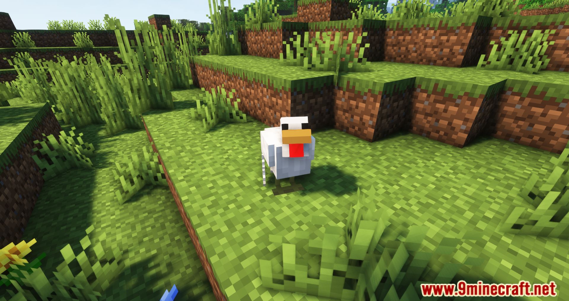 Chicken Drop Feathers Mod (1.19.3, 1.16.5) - Miracles For Chickens 5