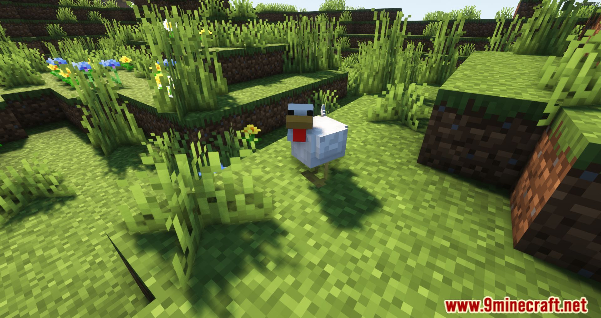 Chicken Drop Feathers Mod (1.19.3, 1.16.5) - Miracles For Chickens 6