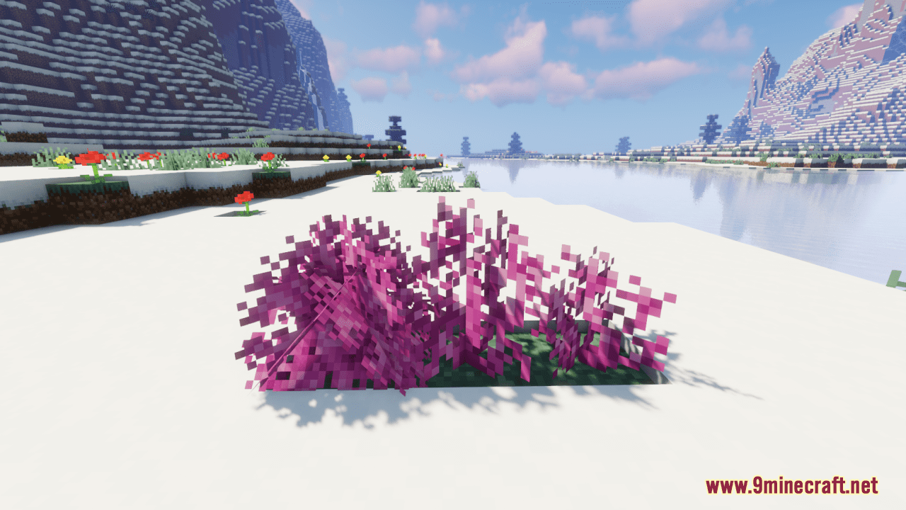 Corality Resource Pack (1.19.4, 1.19.2) - Texture Pack 12
