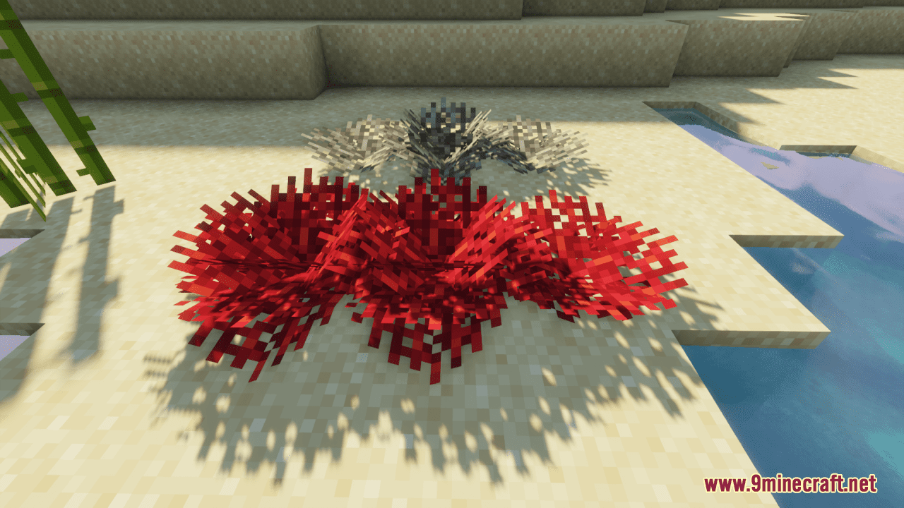 Corality Resource Pack (1.19.4, 1.19.2) - Texture Pack 8