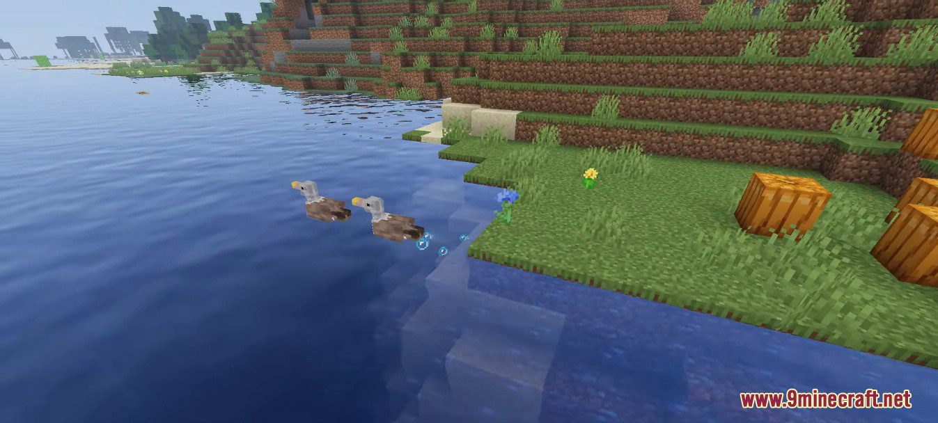 Endless Ocean Aquatic Adventures Mod (1.19.2, 1.18.2) - Beautiful Ocean Animals 11