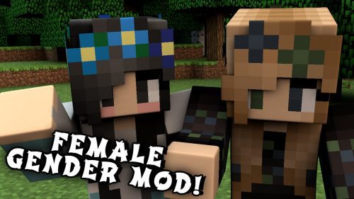 Female Gender Mod (1.21, 1.20.1) – Adding Breasts to Look Like a Girl Thumbnail