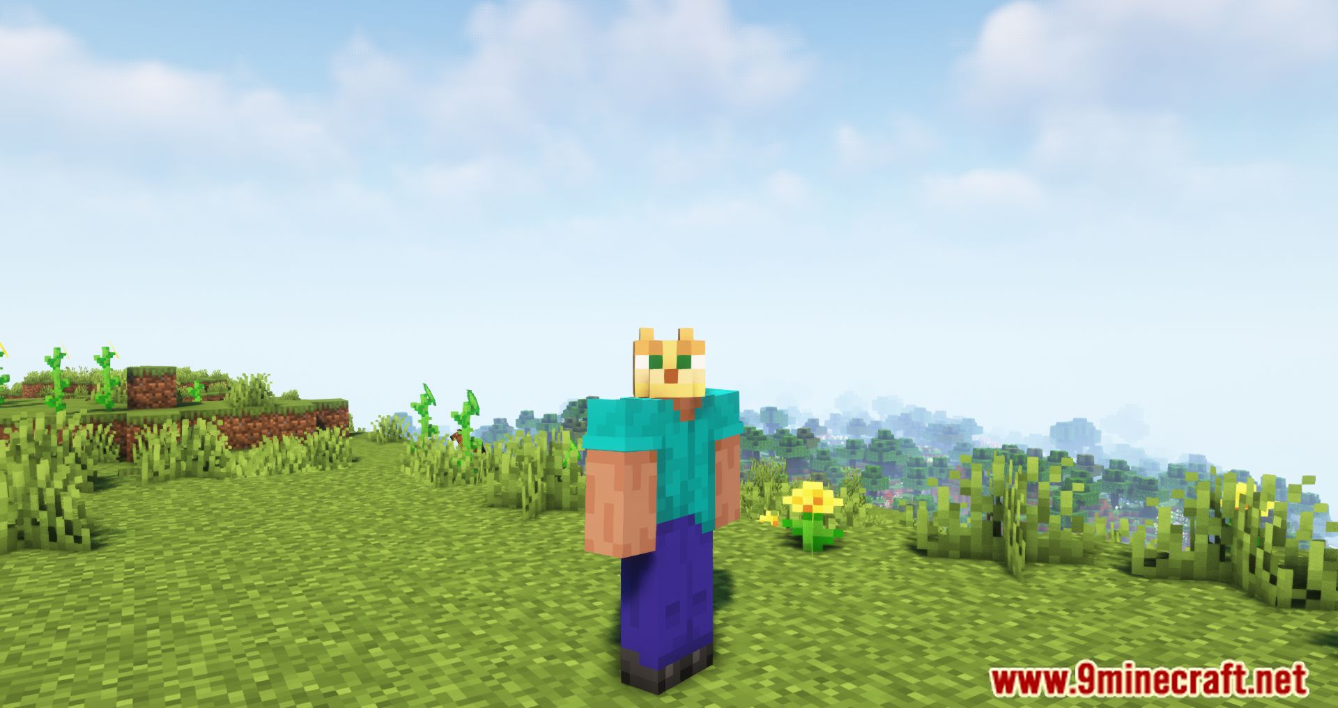 Heads Mod (1.20.4, 1.19.4) - Heads Of Various Creatures 9