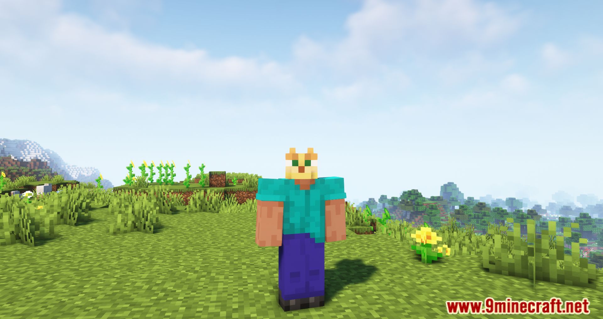 Heads Mod (1.20.4, 1.19.4) - Heads Of Various Creatures 10