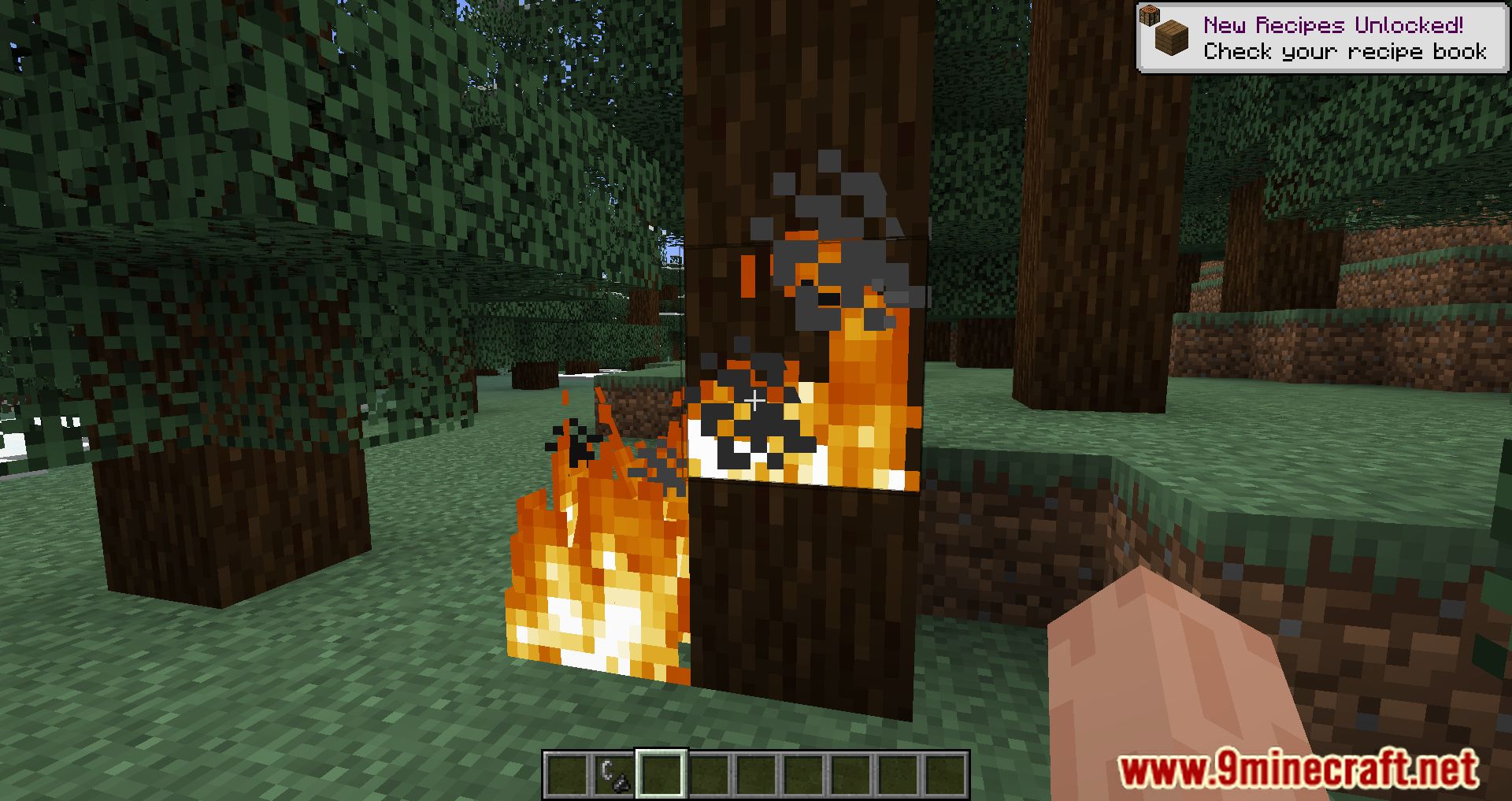Low Fire Mod (1.19.3, 1.16.5) - Reduces The Coverage Of The Fire 6