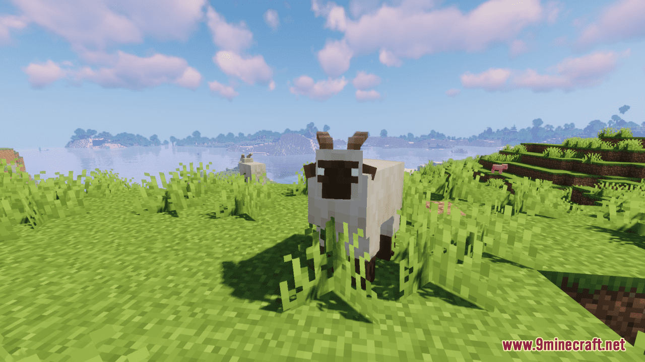 Lucille's Sheep Remodel Resource Pack (1.20.6, 1.20.1) - Texture Pack 8