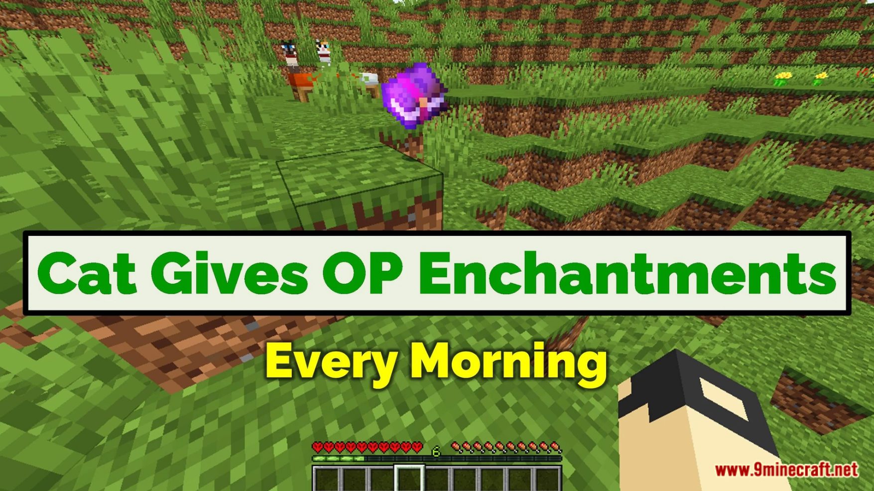 Minecraft But Cat Gives Op Enchantments Data Pack (1.19.4, 1.19.2) 7