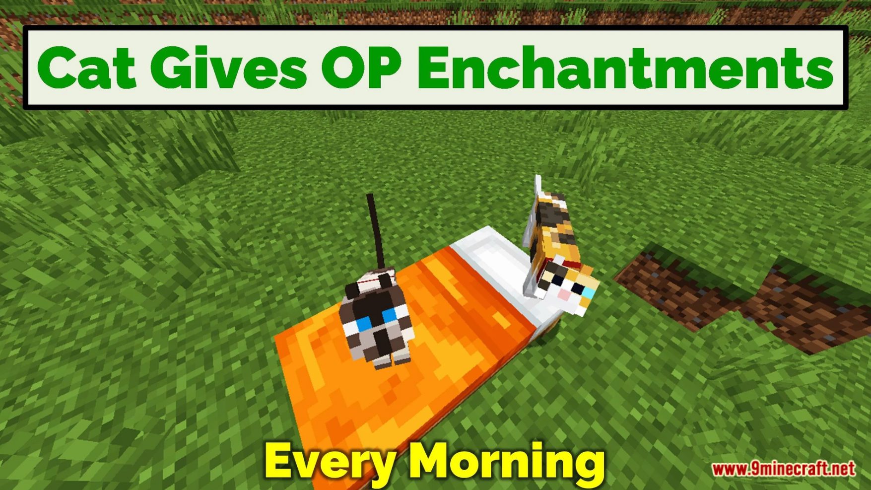 Minecraft But Cat Gives Op Enchantments Data Pack (1.19.4, 1.19.2) 5