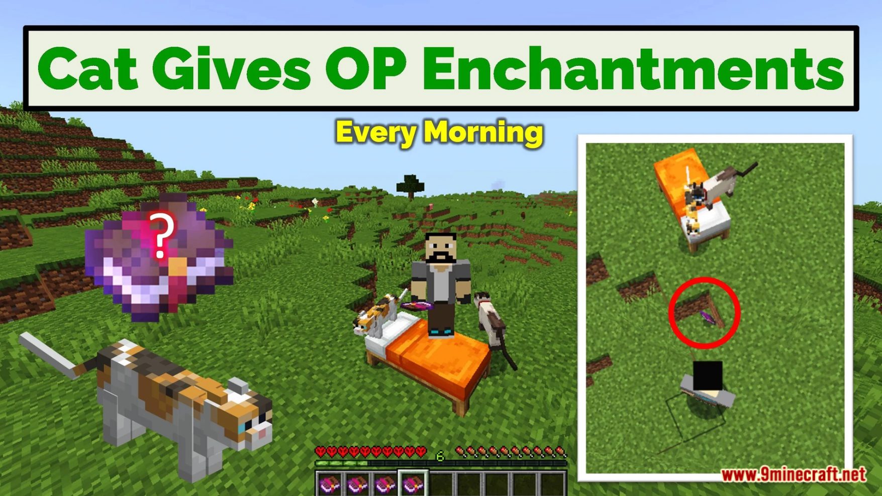 Minecraft But Cat Gives Op Enchantments Data Pack (1.19.4, 1.19.2) 9