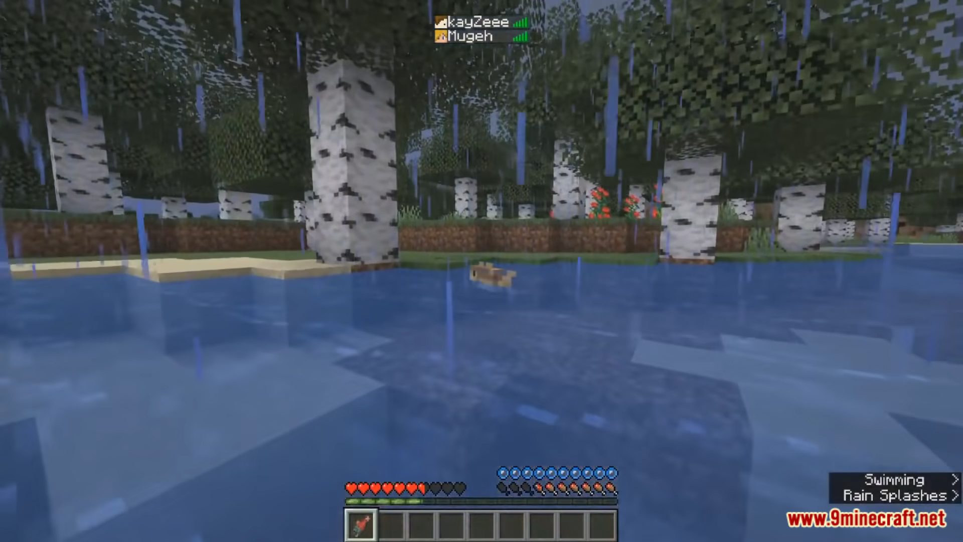 Minecraft But You Are A Fish Data Pack (1.18.2, 1.16.5) 7