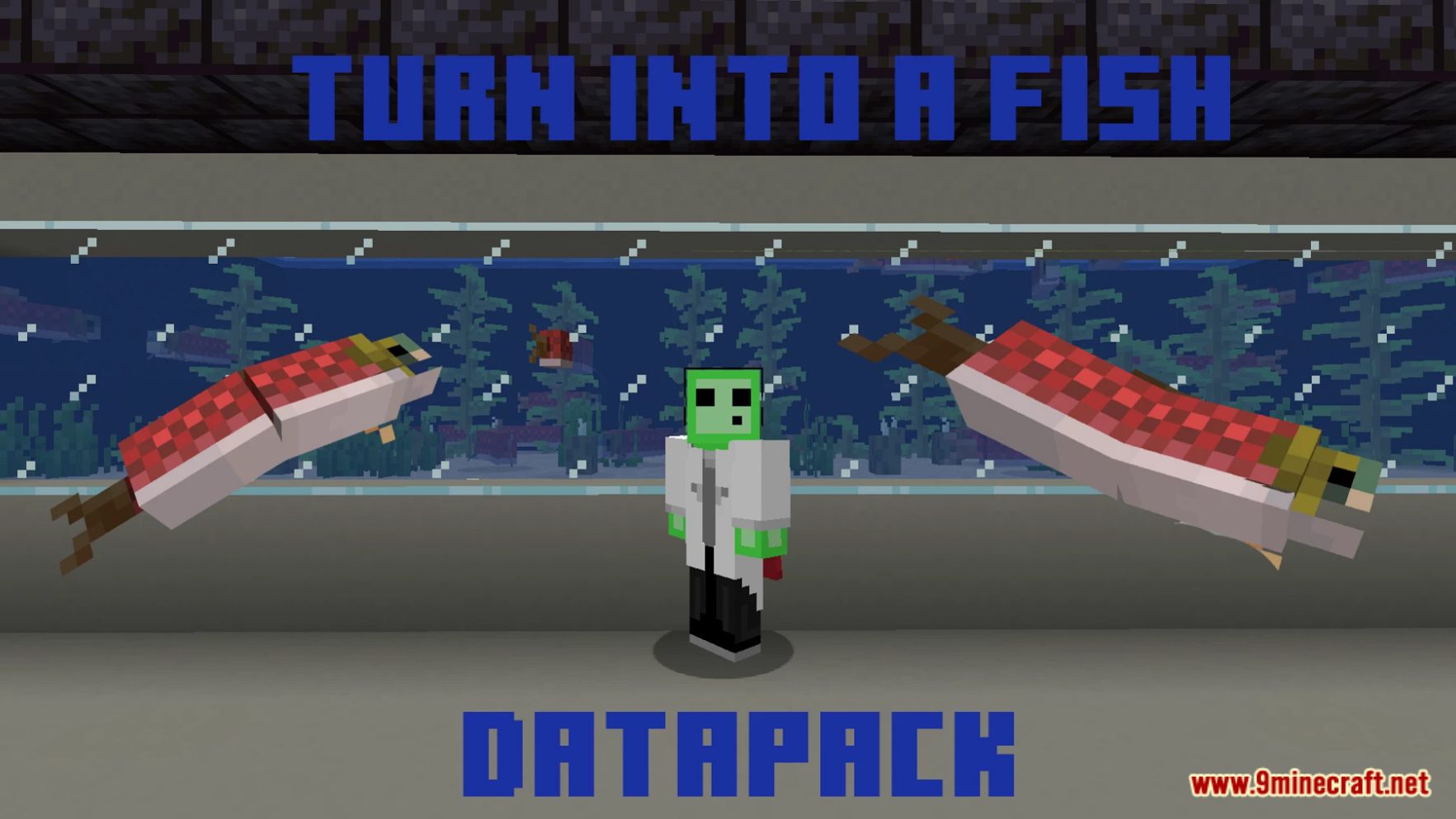 Minecraft But You Are A Fish Data Pack (1.18.2, 1.16.5) 13
