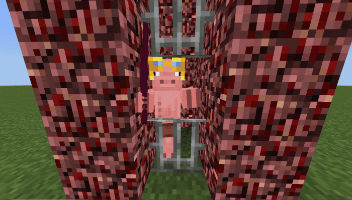 Old Pigman Plus Addon (1.20, 1.19) - MCPE/Bedrock Mod 11