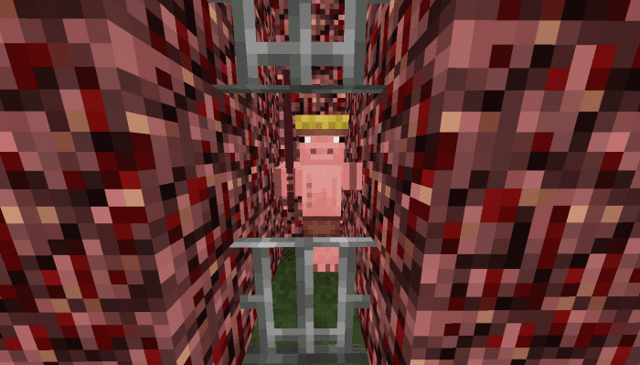 Old Pigman Plus Addon (1.20, 1.19) - MCPE/Bedrock Mod 15