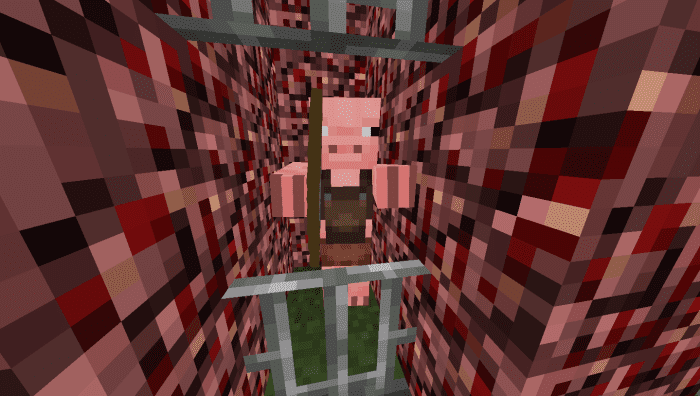 Old Pigman Plus Addon (1.20, 1.19) - MCPE/Bedrock Mod 29