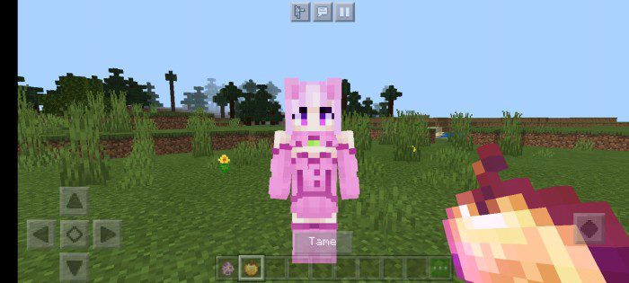 Nipa3008’s Moe Moe Waifus Revolution Addon (1.20, 1.19) - MCPE/Bedrock Mod 11