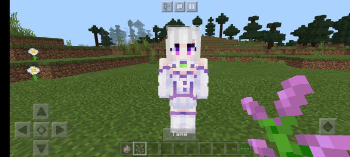 Nipa3008’s Moe Moe Waifus Revolution Addon (1.20, 1.19) - MCPE/Bedrock Mod 6