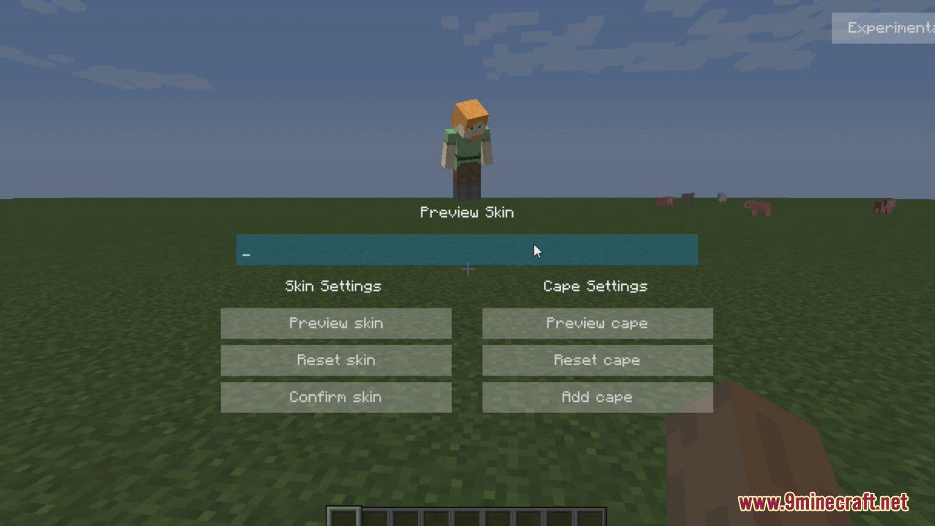 SkinChanger Mod (1.8.9) - Get A Free Cape 6