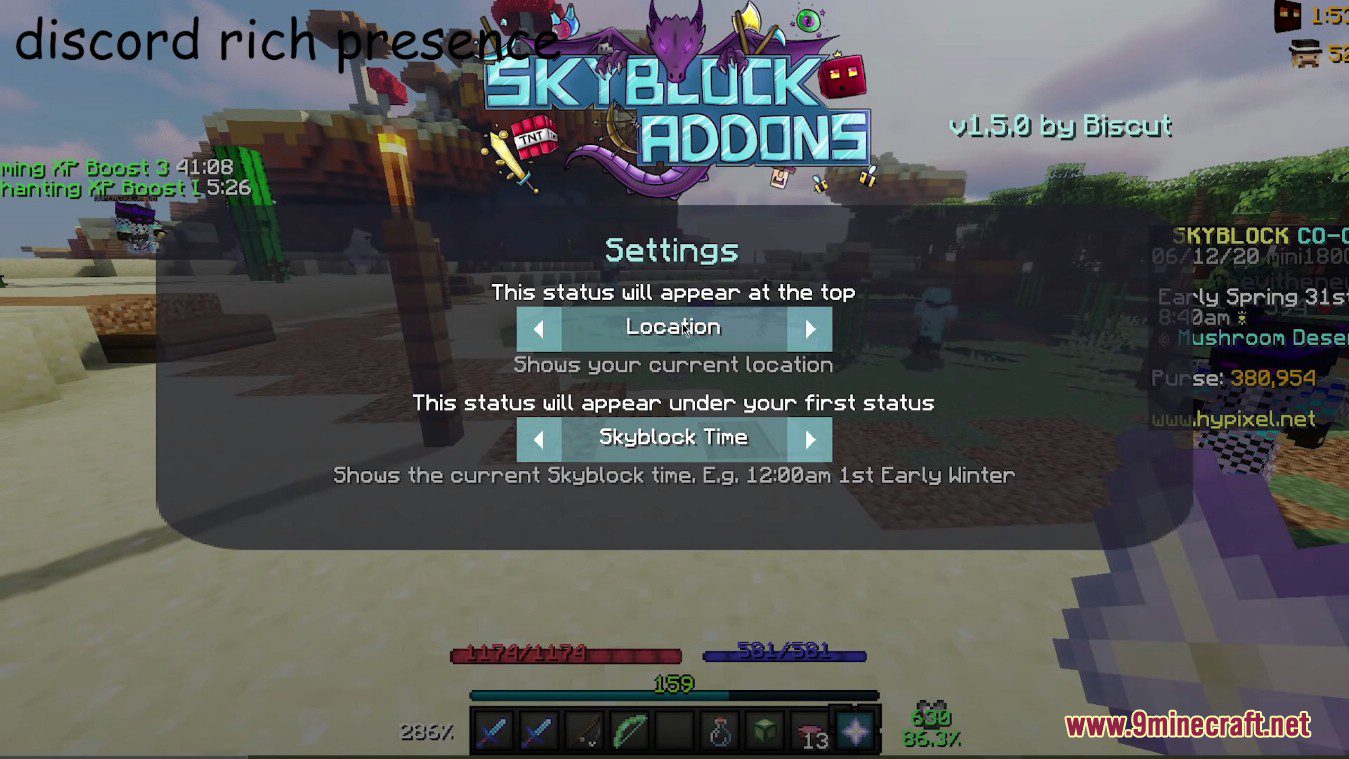 Skyblock Addons Mod (1.8.9) - Useful Features for Skyblock 14