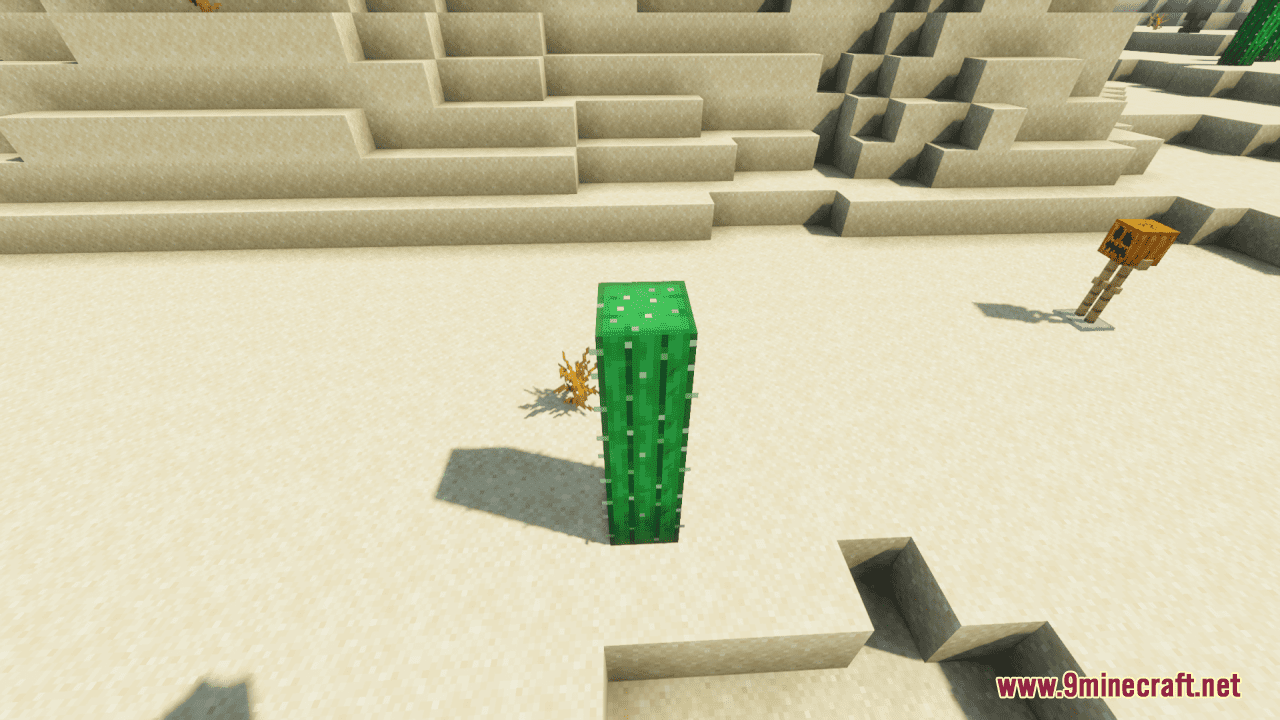 Vibrant Cactus Resource Pack (1.20.6, 1.20.1) - Texture Pack 11