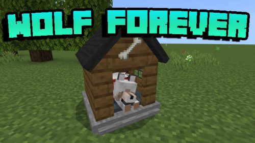 Wolf Forever Addon (1.19) – MCPE/Bedrock Mod Thumbnail