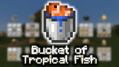 Bucket of Tropical Fish – Wiki Guide Thumbnail