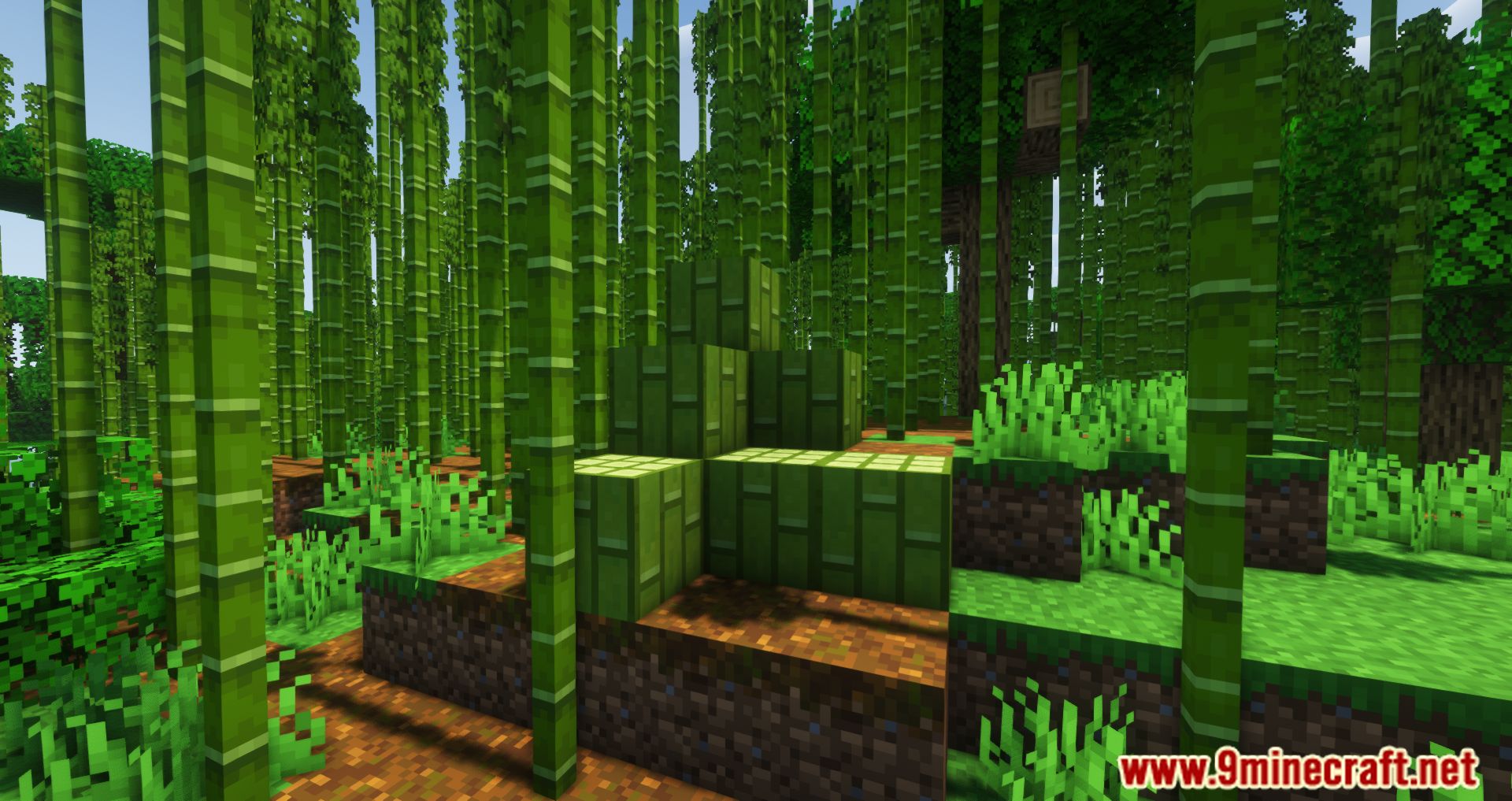 Bamboo Tweaks Mod (1.16.5, 1.15.2) - Green Everywhere 2