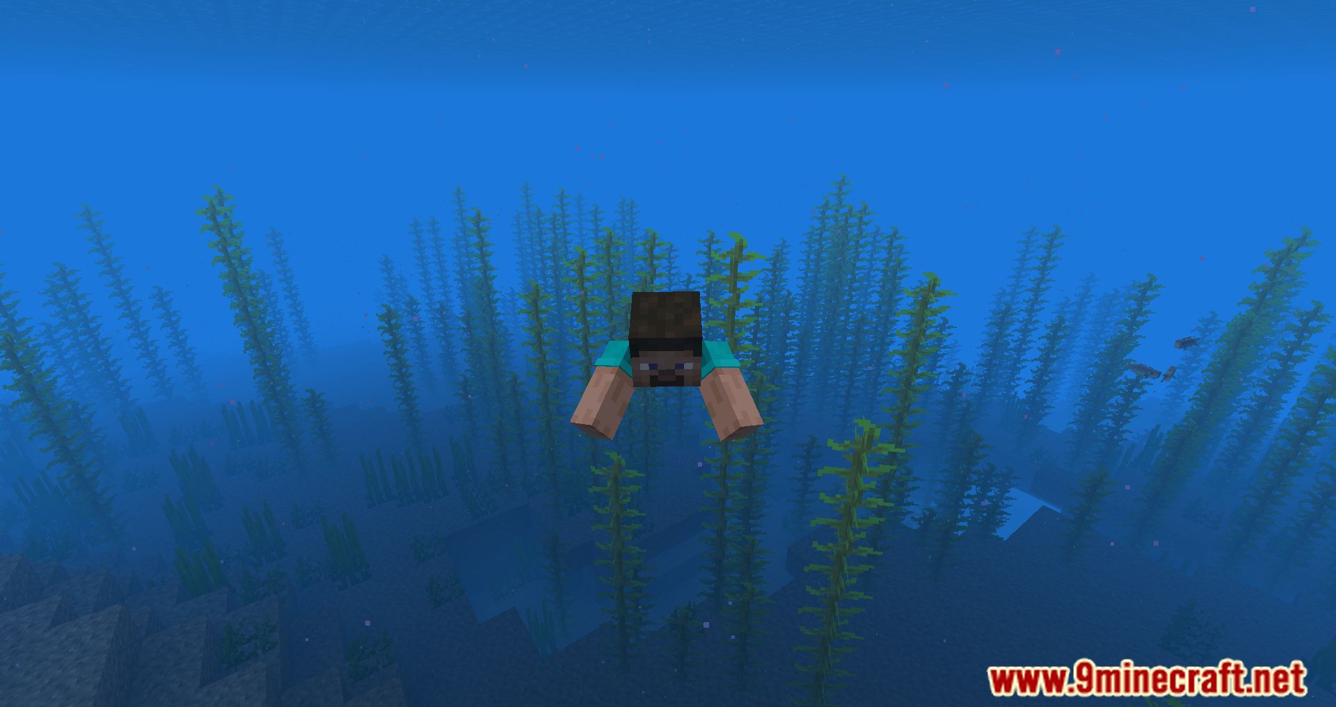 Bedrock Waters Mod (1.20.4, 1.19.4) - Simply Aesthetic 7