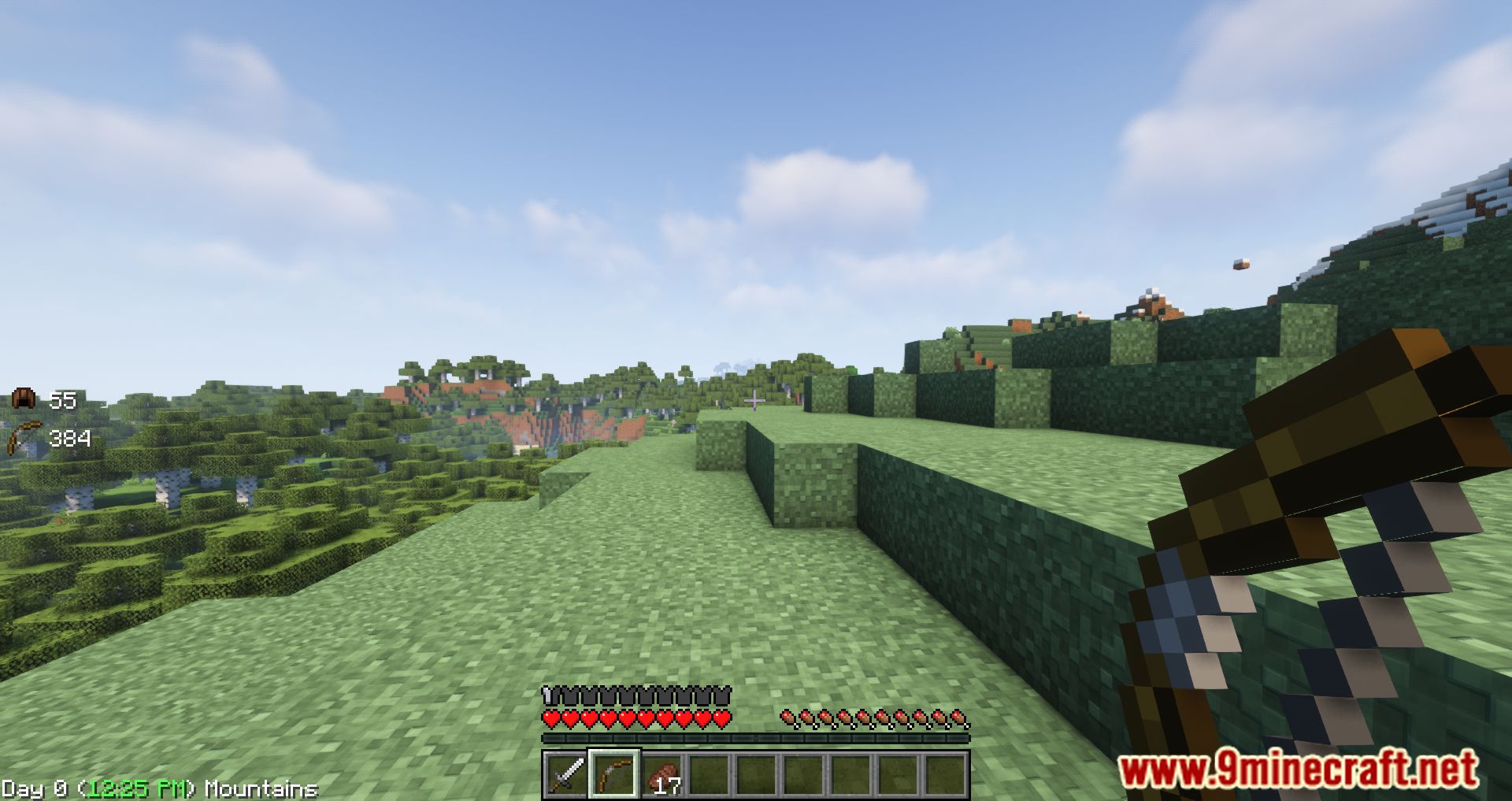 DarkoHUD Mod (1.16.5) - Show More Information On HUD 6