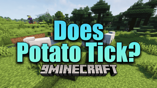 Does Potato Tick? Mod (1.20.1, 1.19.2) – It Will No Longer Tick Thumbnail