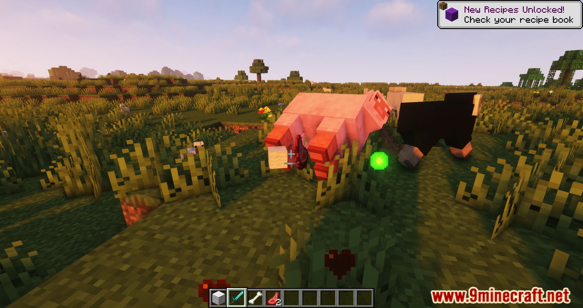 Extra Mob Drops Mod (1.19.2, 1.18.2) - Leather Drops From Pig??? 5