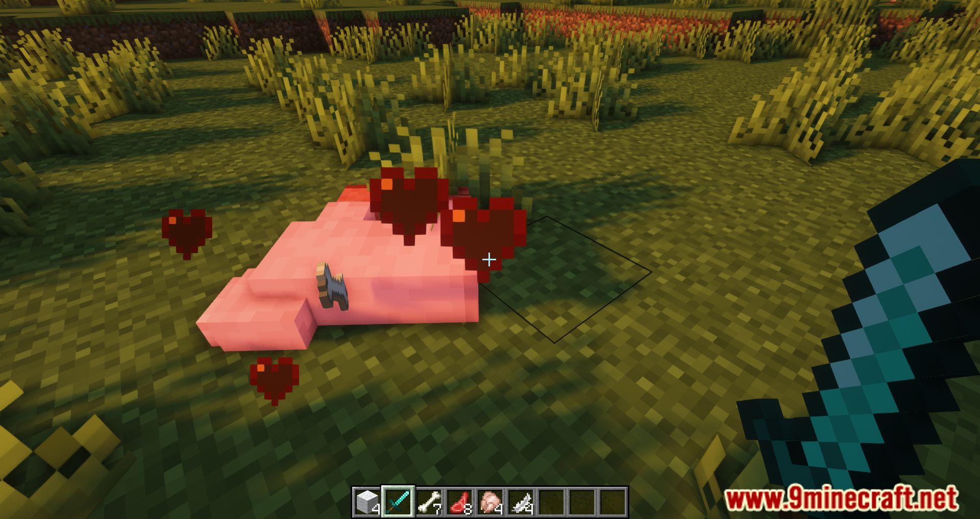 Extra Mob Drops Mod (1.19.2, 1.18.2) - Leather Drops From Pig??? 10