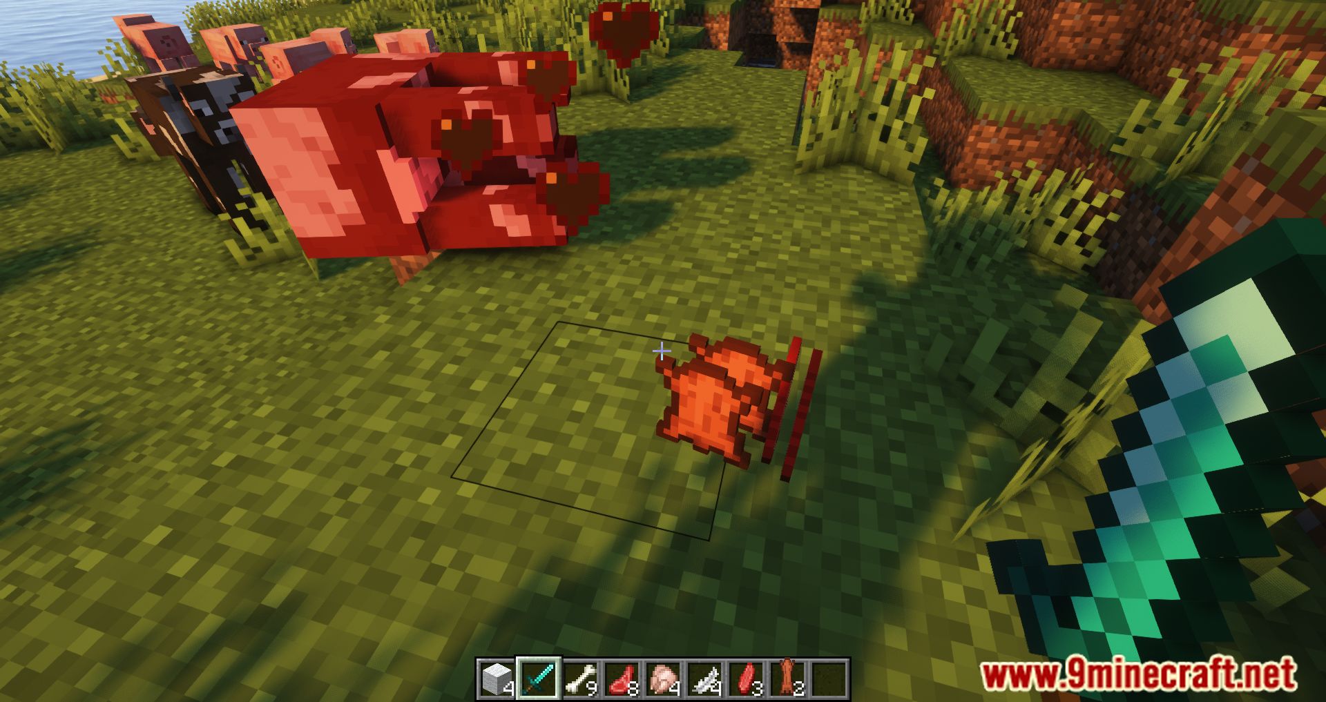 Extra Mob Drops Mod (1.19.2, 1.18.2) - Leather Drops From Pig??? 12