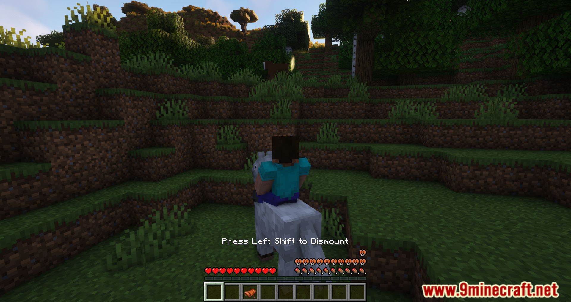 Leave My Bars Alone Mod (1.20.4, 1.19.4) - Change The In-game Hud While Riding A Mob 3