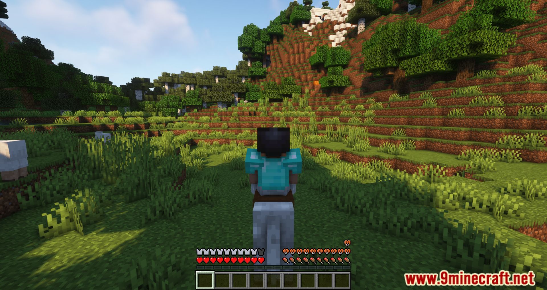 Leave My Bars Alone Mod (1.20.4, 1.19.4) - Change The In-game Hud While Riding A Mob 6