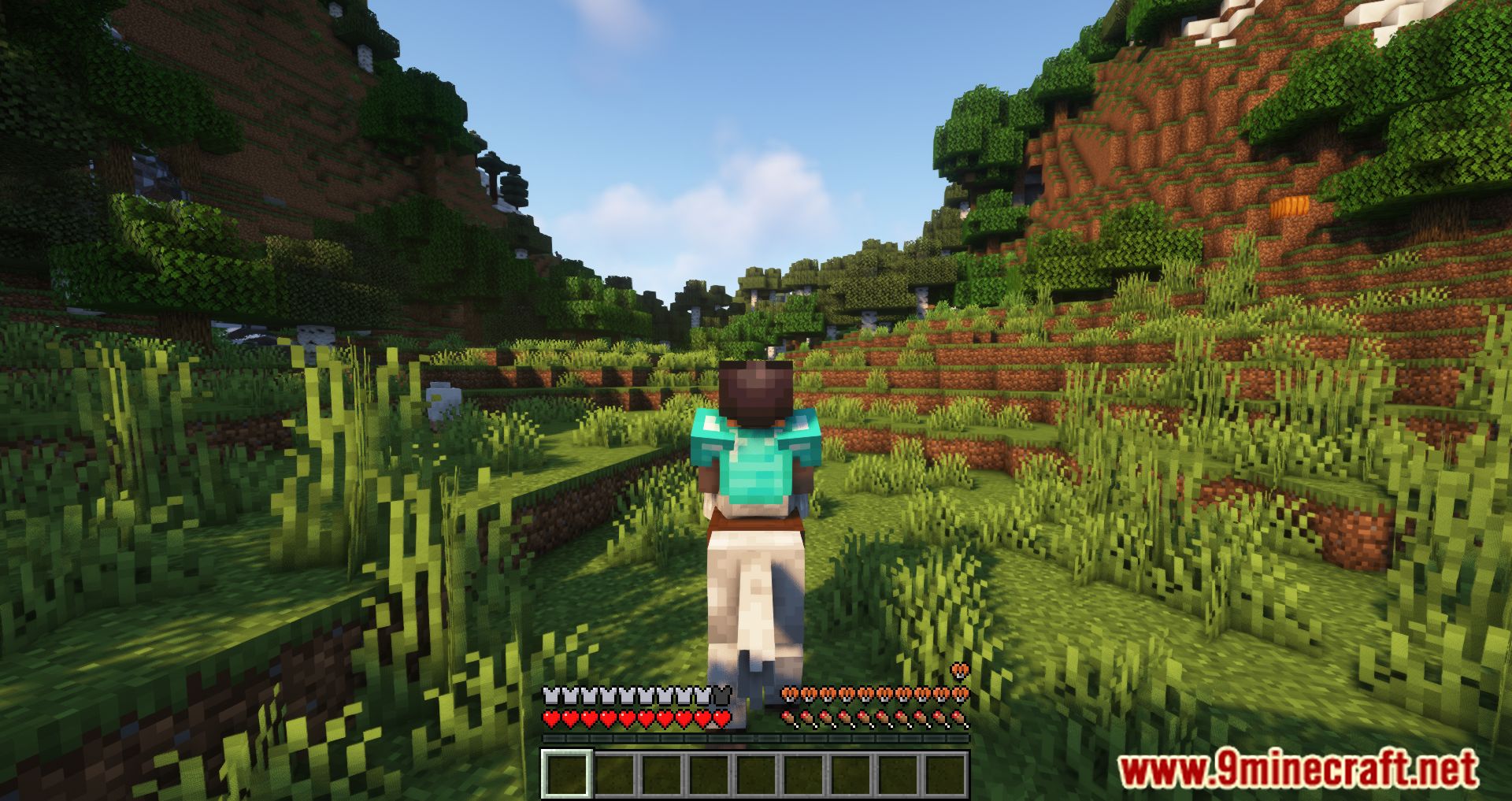 Leave My Bars Alone Mod (1.20.4, 1.19.4) - Change The In-game Hud While Riding A Mob 7