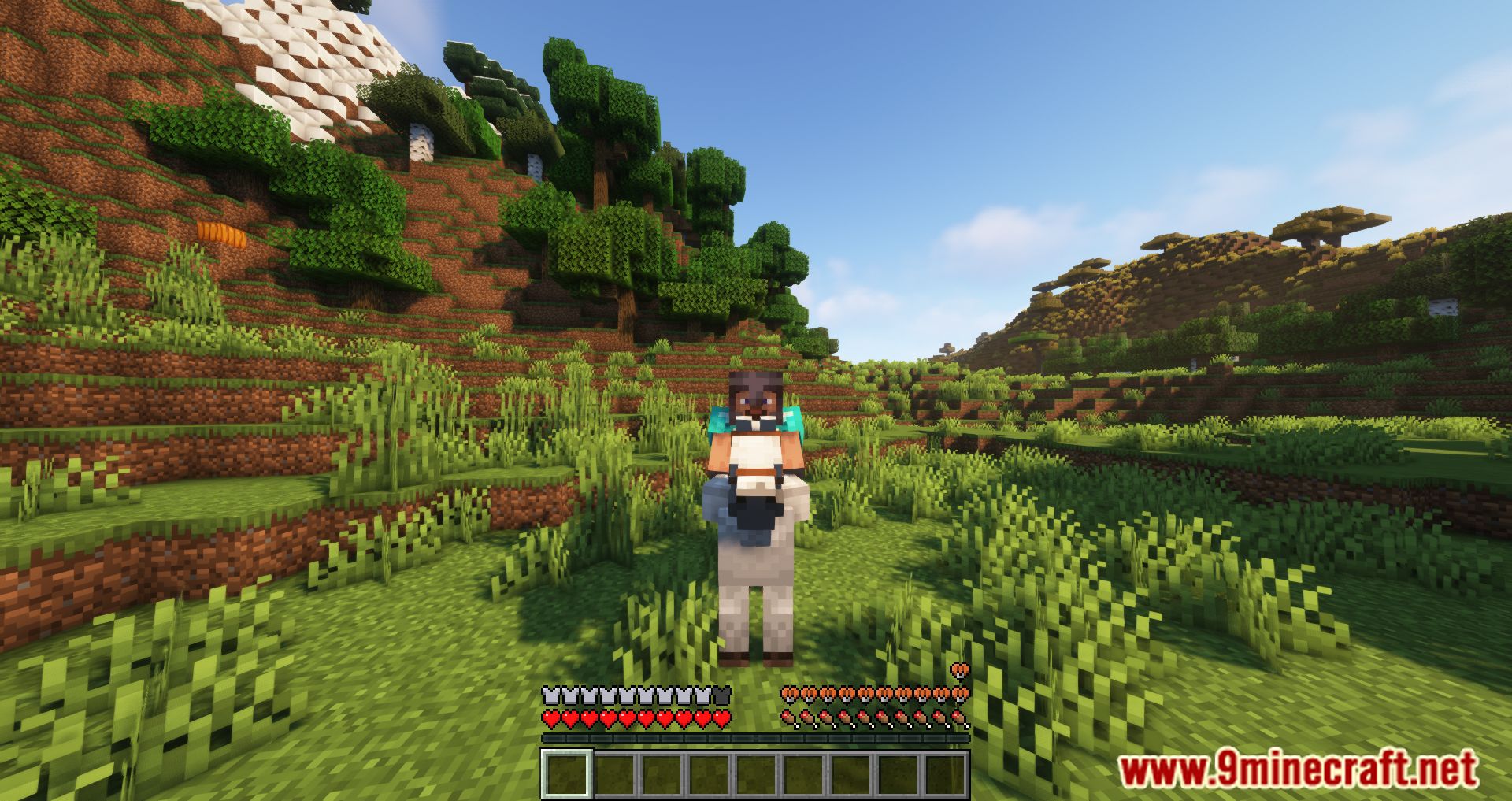 Leave My Bars Alone Mod (1.20.4, 1.19.4) - Change The In-game Hud While Riding A Mob 8